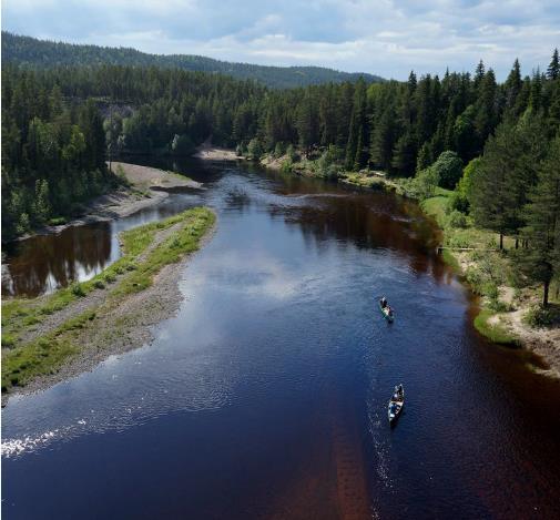 luodaan mahdollisuuksia vapaaehtoistyöhön Jaetaan tietoa METSO