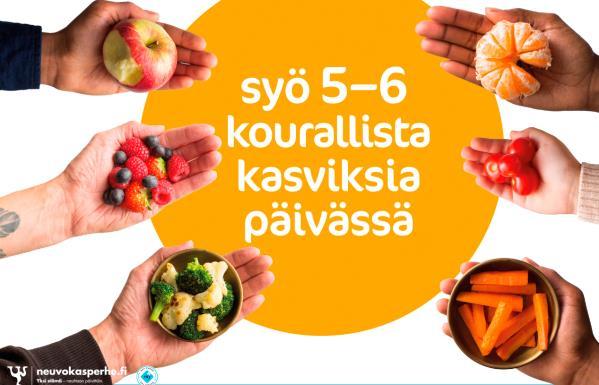 Kasvikset, hedelmät ja marjat Aterioilla tarjotaan kasviksia, marjoja ja hedelmiä monipuolisesti ja eri muodoissa, jotta lapset tottuvat niiden erilaisiin makuihin ja rakenteisiin.