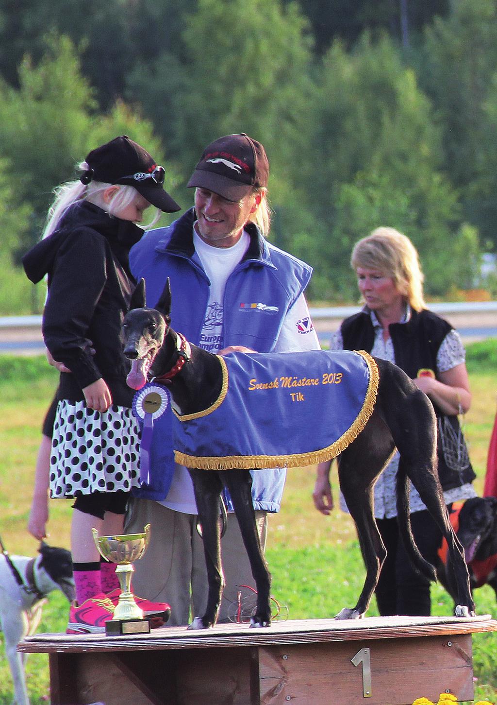 HOUND GREY20v ETELÄN GREYHOUNDURHEILIJAT