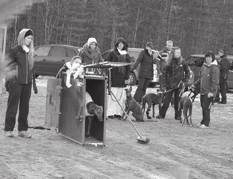 Tämän kesän koettelemuksien jälkeen me ei tarvita enää yhtään sairaalareissua koirille, perusrokotukset jatkossa vaan meille, kiitos! Terveisenne muille uusille harrastajille?