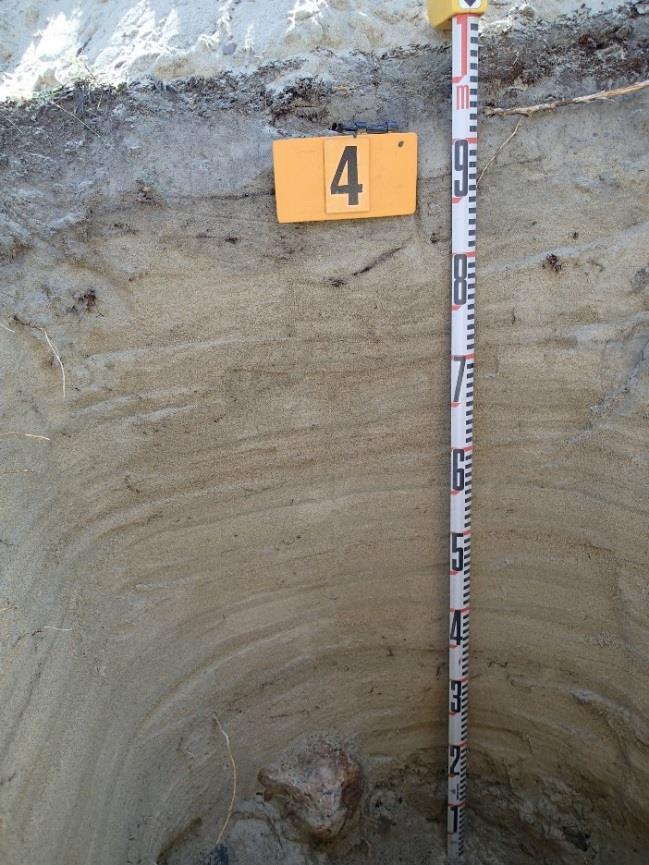 Tältä tasolta kuopan pohjaa tutkittiin syvemmälle kairaamalla: -100 130 puhdas punertava hiekka, 130 sora. Koekuopan 3 leikkaus.
