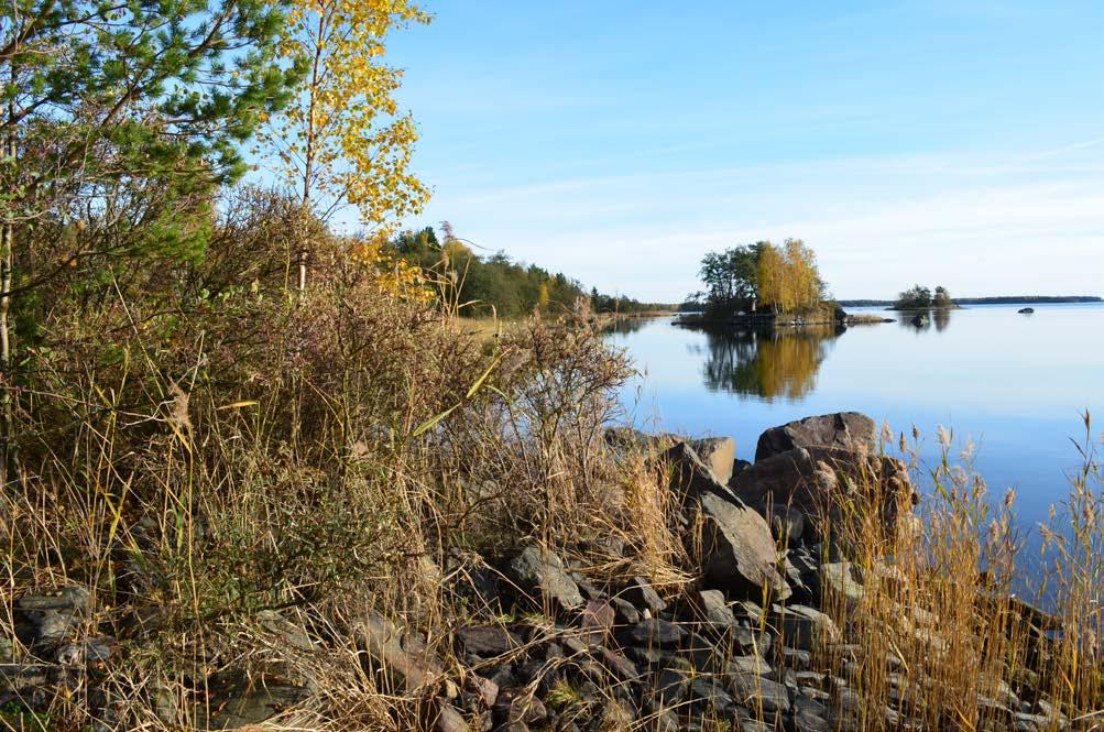 Näkymä niemen kärjestä 4.3.