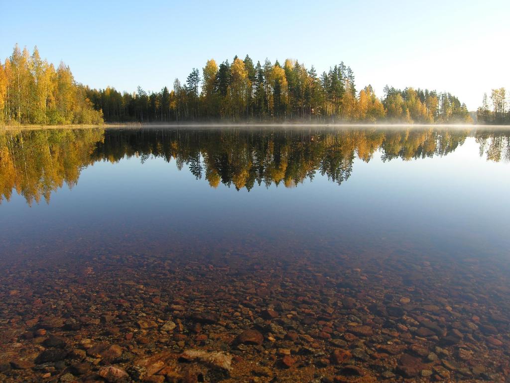 Kiitos!