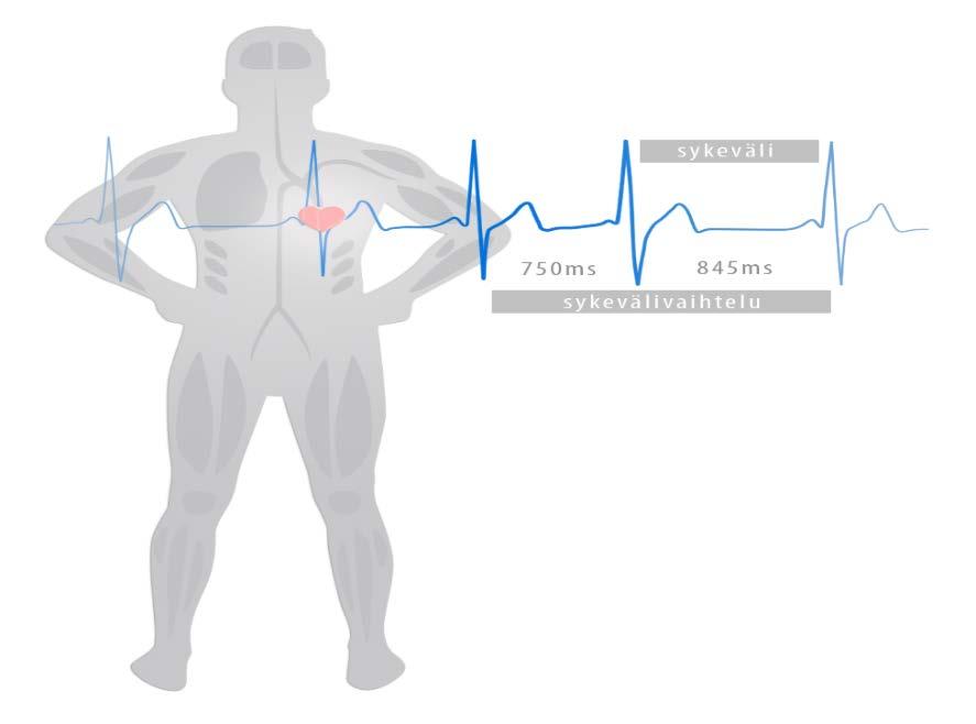 stressitekijöiden kasvuun. Oma vaikutuksensa sykevälivaihteluun on myös esimerkiksi verenpaineella, iällä, sukupuolella ja kehonkoostumuksella. (Romppainen 2011, 9.
