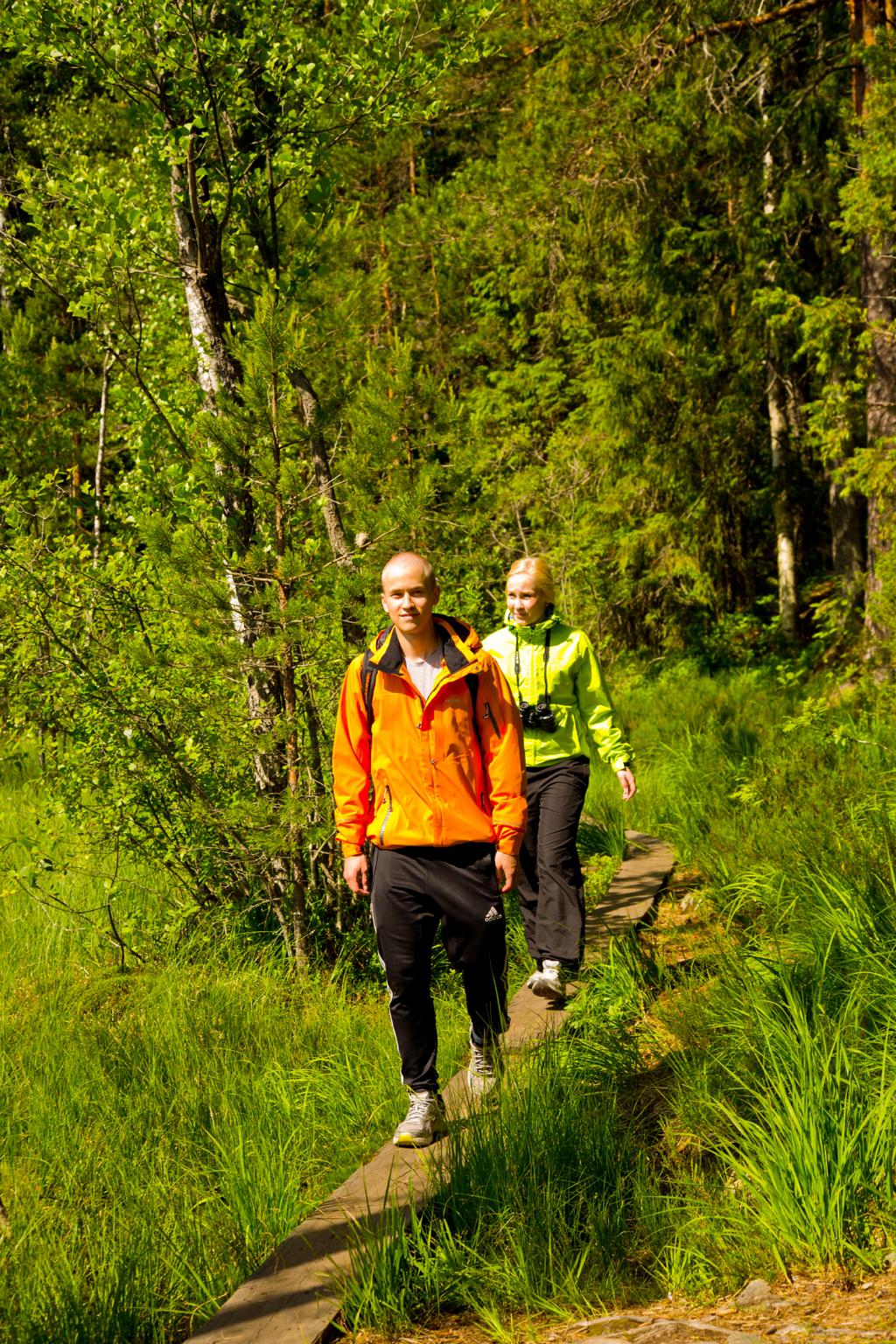 RAPORTTI Sari Jaakola Outi Lyytikäinen Ruska Rimhanen-Finne Saara Salmenlinna Carita Savolainen-Kopra Kirsi Liitsola Jari Jalava