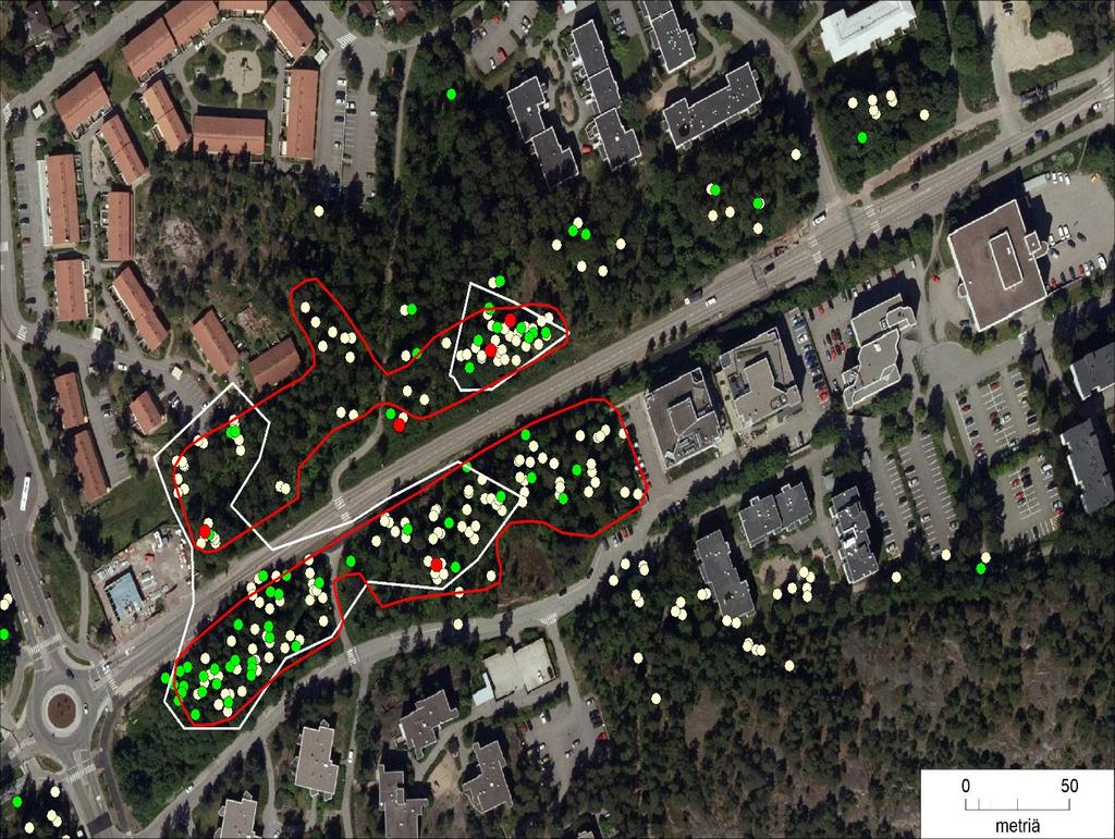 4 JOHTOPÄÄTÖKSET JA SUOSITUKSET Liito-orava on runsastunut Suomenlahdentien ympäristössä. Aiempina vuosina jätöslöydöt ovat keskittyneet vanhan Suomenlahdentien alueelle.