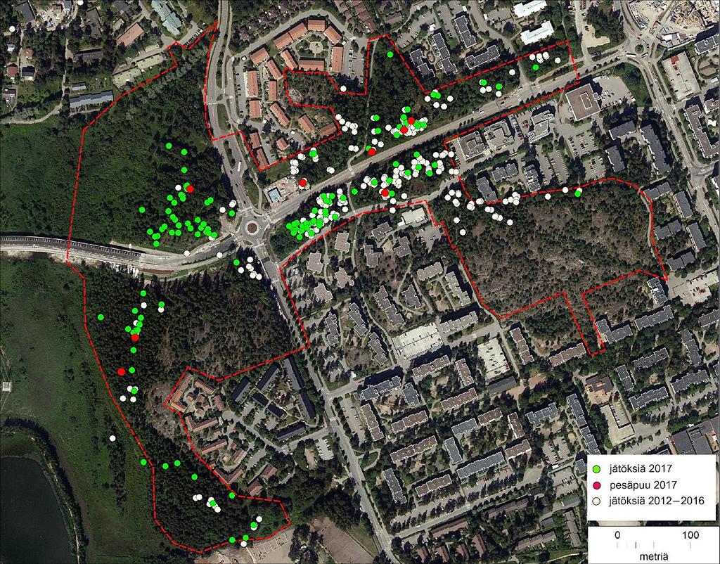 Suomenlahdentien liito-oravat 2017 Kuva 8. Liito-oravan jätösten löytöpaikat ja liito-oravan käyttämät pesäpuut Suomenlahdentien alueella.