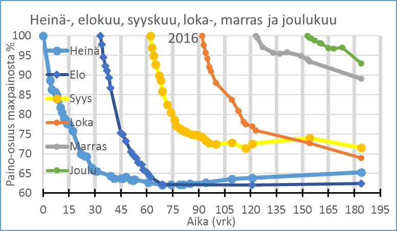 Klapinippujen