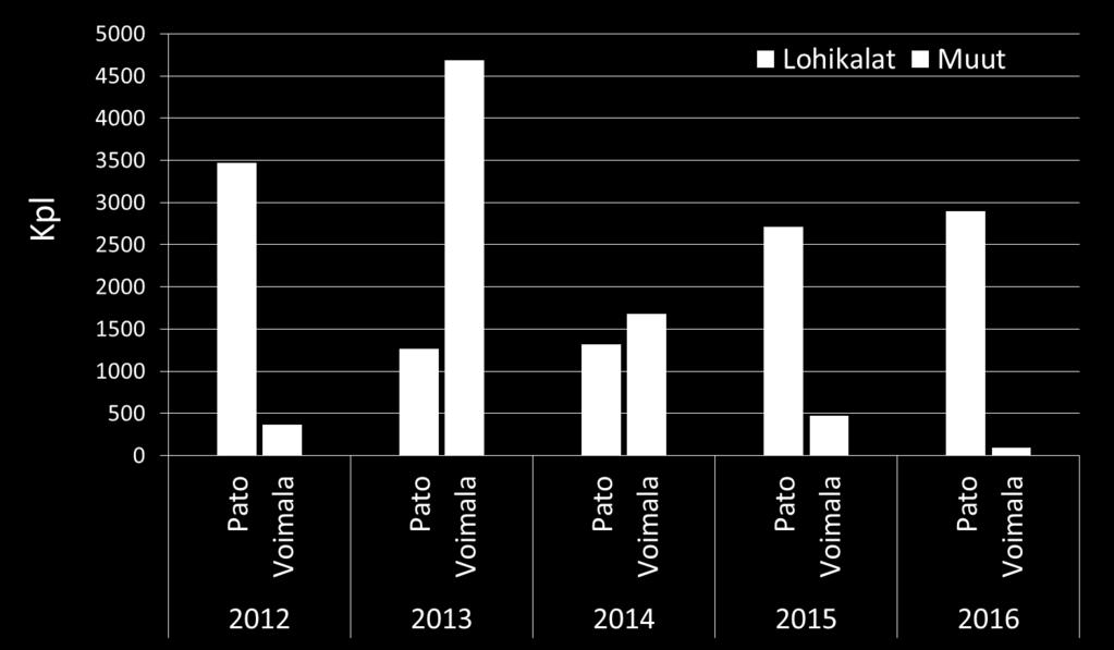 Kymijoki, Koivukosken kalatiet lohi Normaalit virtaamat taimen kirjolohi säyne turpa toutain Molemmilla kalaportailla näyttäisi olevan oma merkityksensä lohen ahven nousuvaelluksen kannalta