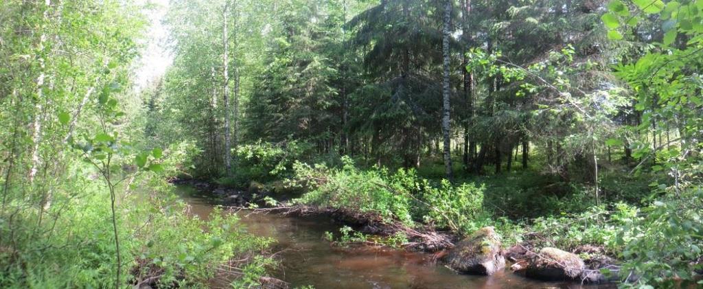 8 ARVOKKAAT LUONTOKOHTEET Alueella ei ole luonnonsuojelulain, vesilain tai metsälain mukaisia kohteita eikä uhanalaisen tai muun huomionarvoisen lajiston esiintymiä.