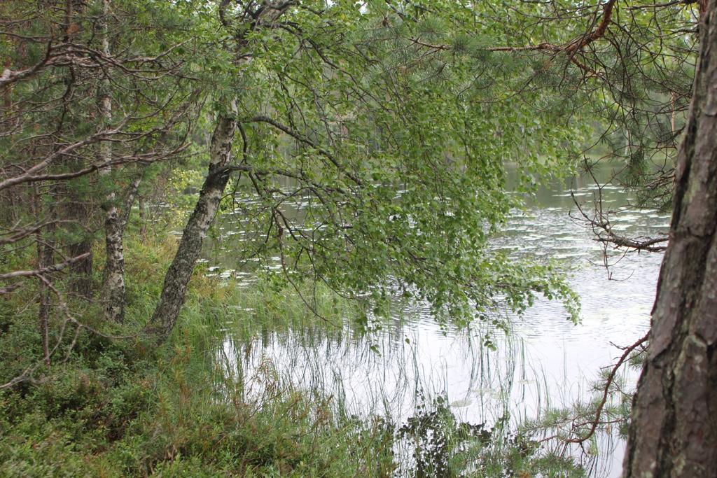 TARKASTUSRAPORTTI HÄMEENLINNA