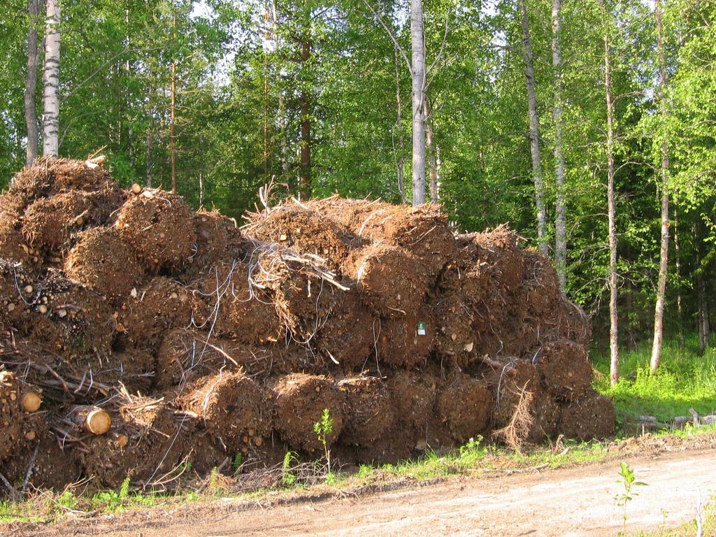 Kantojen noston ja hakkuutähteiden keruun ekologiset ja metsänhoidolliset