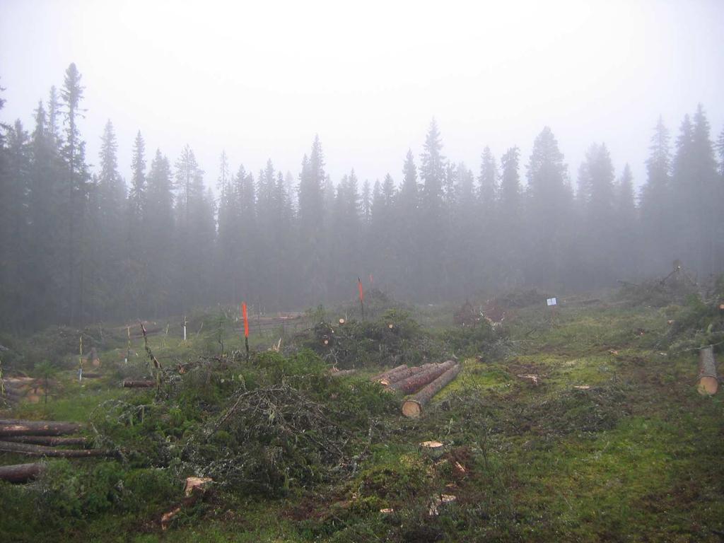 8 5. Toimenpiteet koealoilla 5.1 Hakkuu ja hakkuuolosuhteet Koekenttien puuston hakkuut tehtiin sulan puun aikana motolla vuoden 2007 lopulla. Paltamossa hakkuuajankohta oli 8. 19.10.