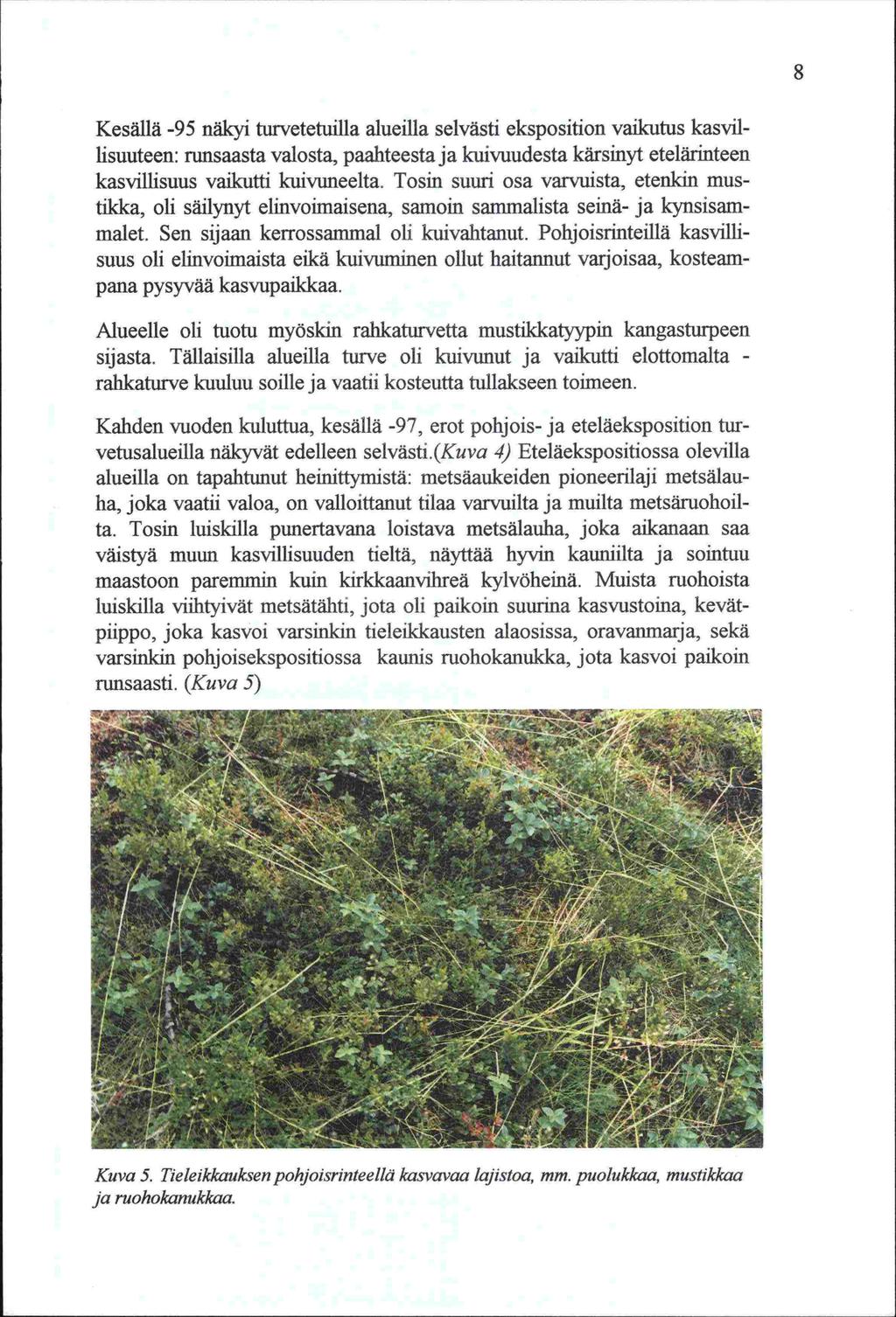 -ta. ri Kesällä -95 näkyi turvetetuilla alueilla selvästi eksposition vaikutus kasvillisuuteen: runsaasta valosta, paahteesta ja kuivuudesta kärsinyt etelärinteen kasvillisuus vaikutti kuivuneelta.