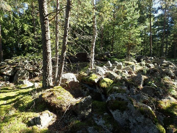 14 Tykkiasema ja sen ympärille sijoittuva rintasuoja. Kuvan vasemmassa laidassa olevan puun takana on rintasuojan puhkaiseva oviaukko. Länteen. 4 KOTKA RANKKI 6 Mjtunnus: 1000009879 Rauh.