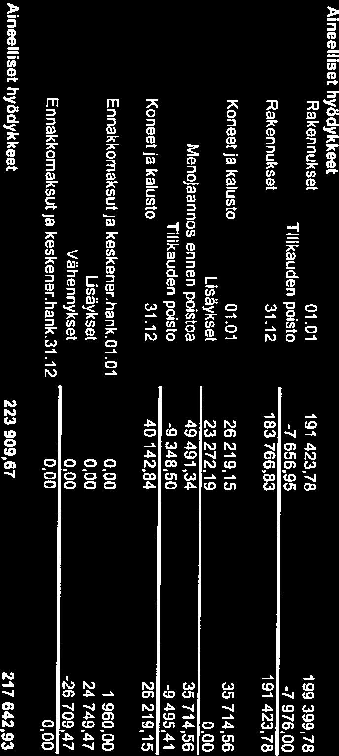 Aineettomat hyödykkeet 31.12 Lisäykset Tilikauden poisto -11 707,04-9 248,30 61 593,05 73 300,09 Menojäännäs ennen poistoa 73 300.09 82548,39 Aineettomat hyödykkeet 01.