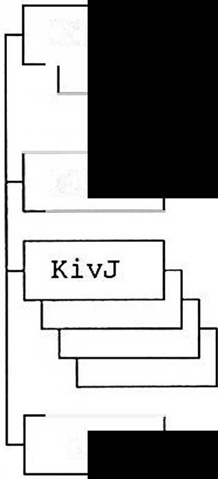 Majuri Hannu Liimatan diplomityön Liite 5 PATALJOONAN KOKOONPANO VUONNA 1950 Pkom Esikunta EK KivK KvKrhK RsK KntoJ JääkJ KntoJ KntoJ PstJ ViestiJ KkivJ HJ HJ HJ Selite: 1.