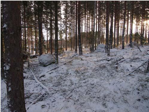 Alueen maaperää ja rakennettavuutta on tarkasteltu Kennin alueen kulttuuriympäristö ja maisema 1 selvityksessä (liite 2). Kennin osayleiskaavatyötä varten on laadittu luontoarvoselvitys 2 (liite 3).