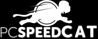 käynnistyvät kun käynnistät tietokoneesi Mutta mitä PC SpeedCAT oikeasti tekee?