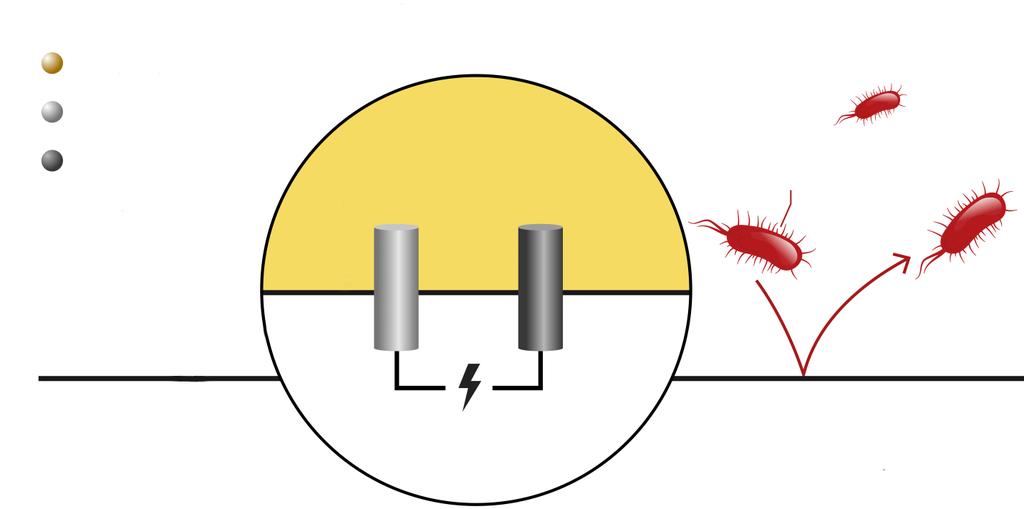 Bactiguard Infection Protection (BIP) -teknologia Ventilaatiopneumonian ehkäiseminen Lääketieteelliset laitteet vetävät puoleensa bakteereja, jotka ennen pitkää muodostavat biofilmin.