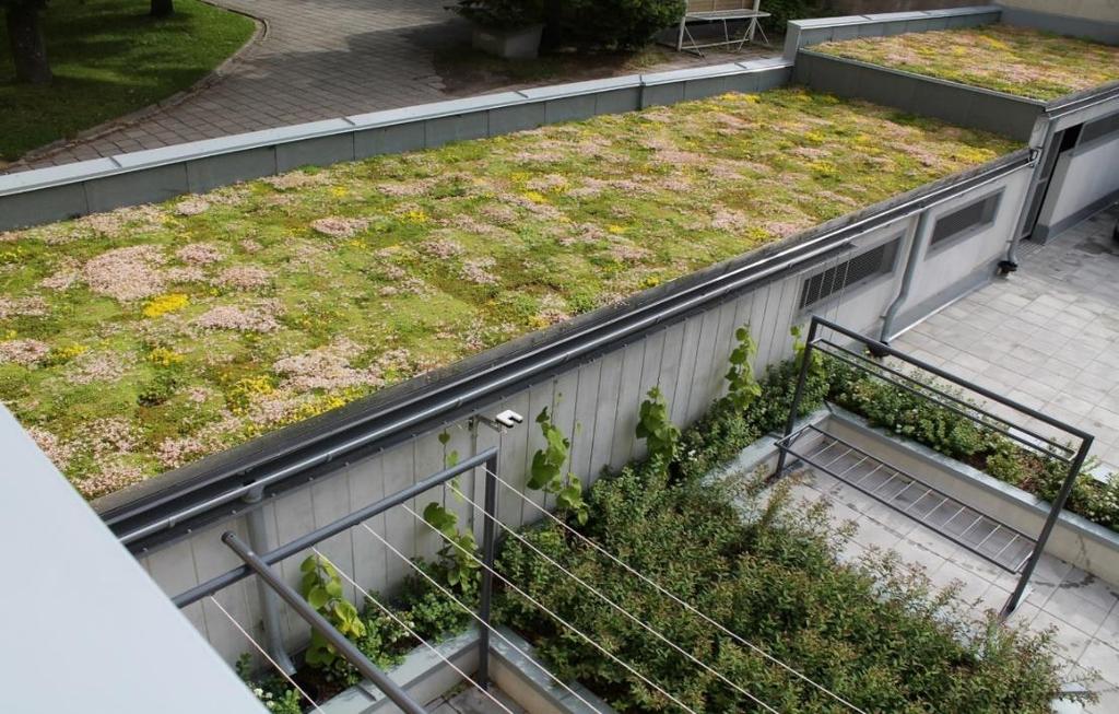 4 Kuva 1. Kerabit Oy:n Sempergreen -maksaruohokatetta. Viherkatot ovat hyvä tapa vähentää valumaa ja sitoa hiilidioksidia (Nordic Waterproofing 2016).