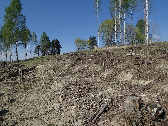 12 Björkebergin allas 2 asuinpaikkaa koivikkoisella alueella. Maa-ainesta kuorittu pois. Kuvattu koilliseen. Björkebergin allas 2. Aluetta jolta poistettu kantoja ja maakerrosta jossain vaiheessa.