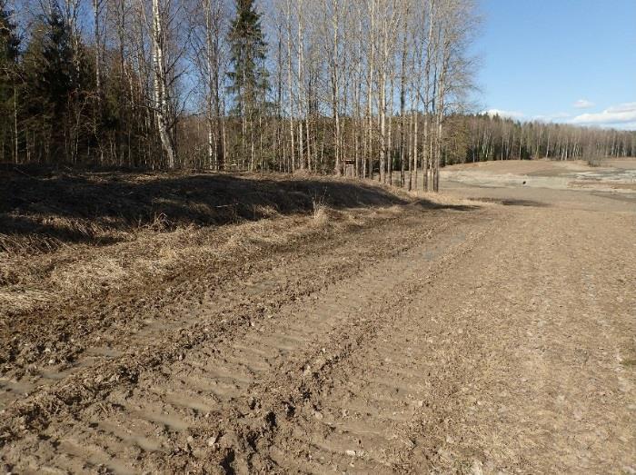 Muinaisjäännösalue on metsän reunassa oleva peltokumpare. Kuvattu länsi-luoteeseen. Alueen pohjoisosasta, kaakkoon.