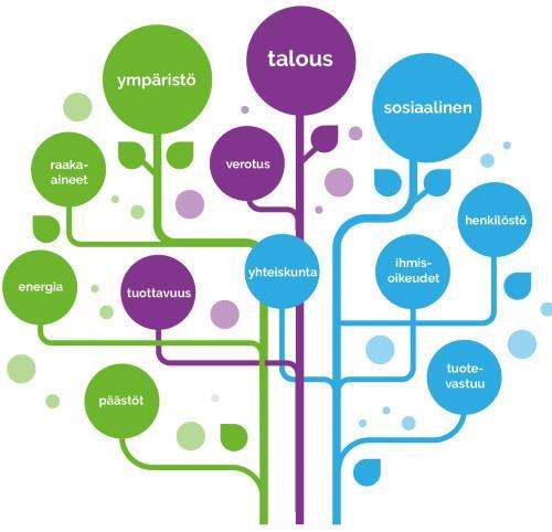 liiketoimintaan. Vastuullisuusraporttien yleistyessä niihin on muodostunut yhteneväisempi malli, jota on sittemmin määritelty EUdirektiivissäkin.