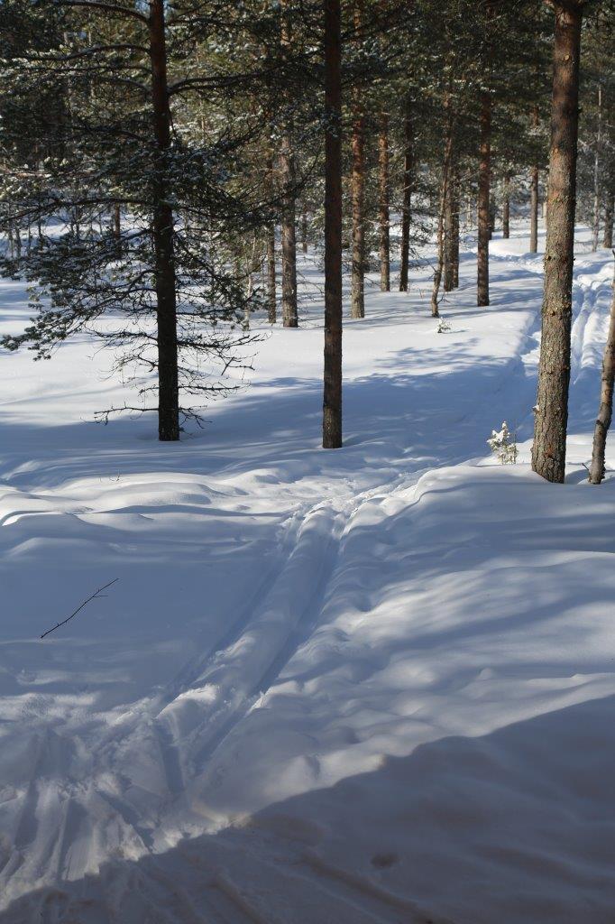 Suksienhoitotilasta lähtee latu