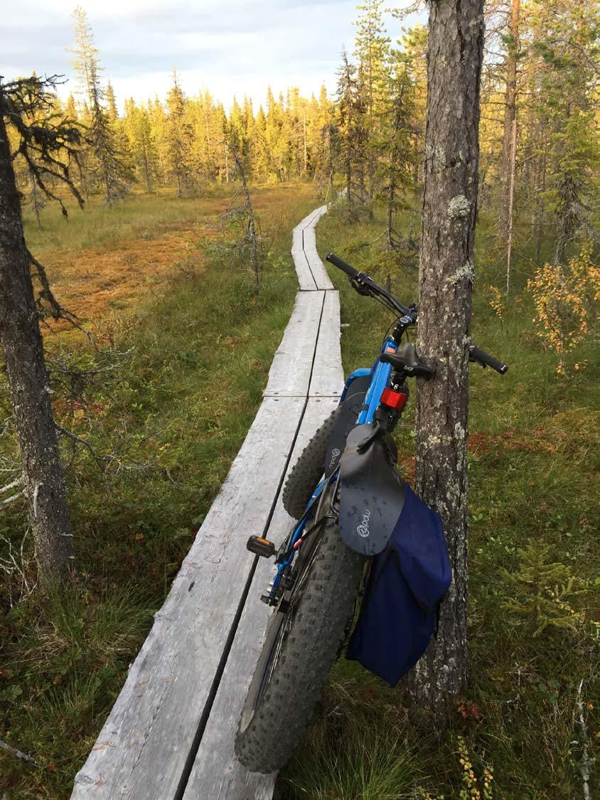 Maastopyöräilyn