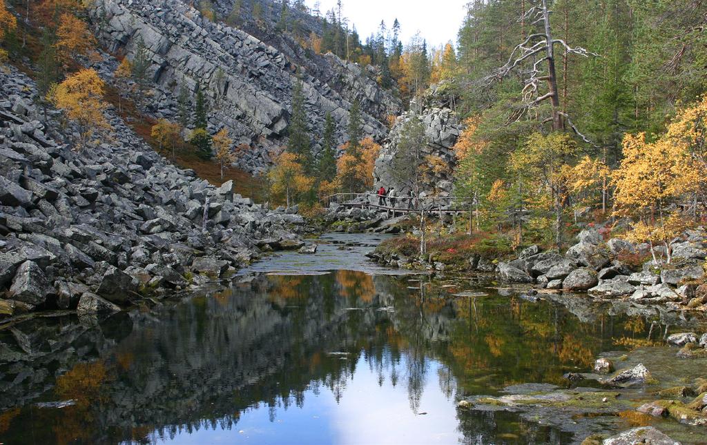 Kansallispuisto National Park Pyhä-Luosto Fin / Eng TERVETULOA!