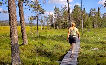 Täällä voit saavuttaa helposti niin ikiaikaisten tunturi maisemien rauhan kuin aarniometsien ja aapa soiden luonnon rikkaudenkin.