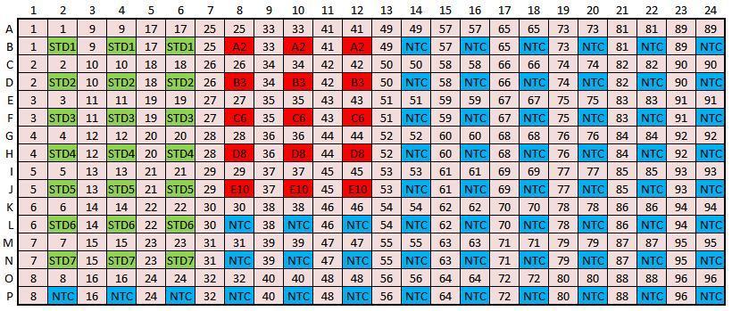 19 Kuva 13. Kuivatun 384-levyn levykartta telomeeri- sekä -hemoglobiini-ajoihin.