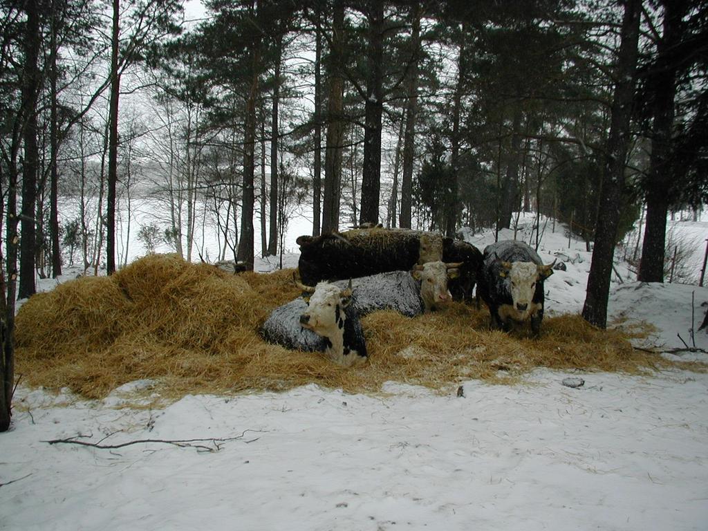 KASVATA OSAAMISTA,