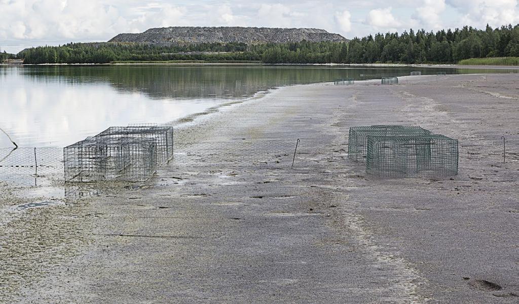 Suomen lintuasemien toiminta vuosina 2010 2016 200 400 kahlaajan vuositasolle huippuvuosien yli 1000 kahlaajarengastuksesta.