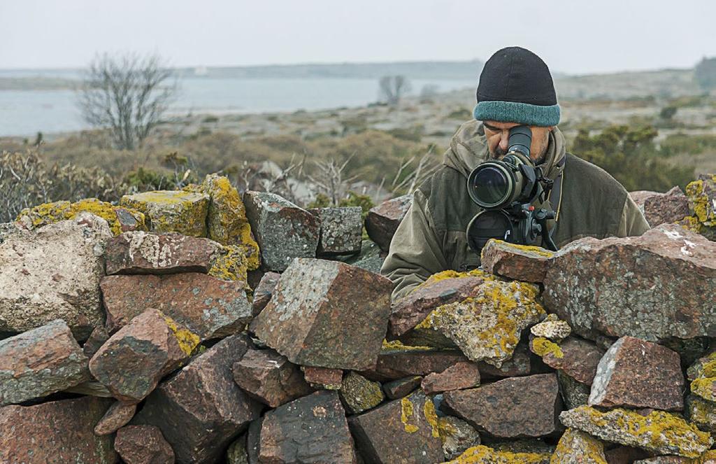 TUTKIMUS Signilskär Johan Ekholm & Antti Tanskanen Signilskärin lintuaseman toiminta jakaantuu kolmeen osaan: rengastukseen, (syys)muutontarkkailuun sekä saariston pesimälinnuston inventointeihin.