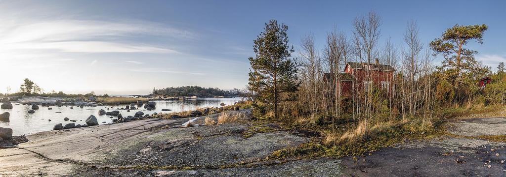 Suomen lintuasemien toiminta vuosina 2010 2016 käyttivät hyväkseen merimetsoyhdyskunnan tarjoamaa suojaa rosvoilevia variksia vastaan munimalla avopaikoille keskelle merimetsoasutusta.