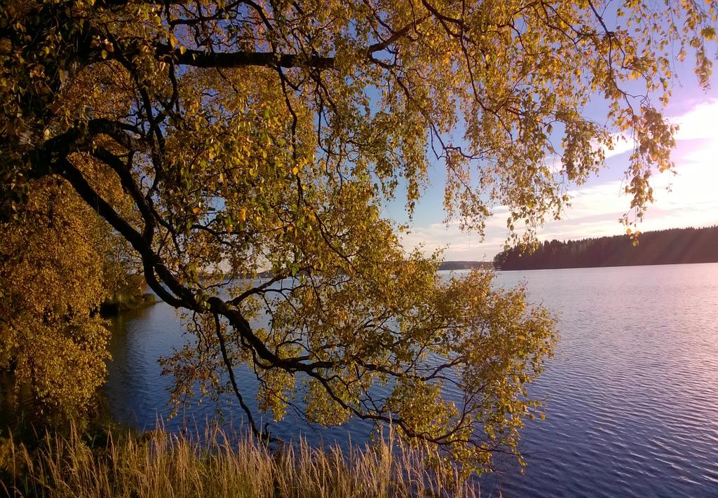 Kiitos ja