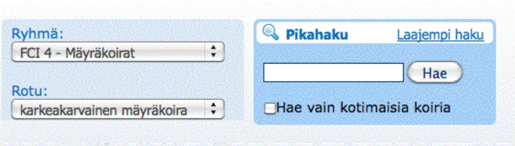 Terveystilastot antavat nopeasti yleiskuvan siitä, paljonko rodussa on tutkittu koiria ja minkälaisin tuloksin.