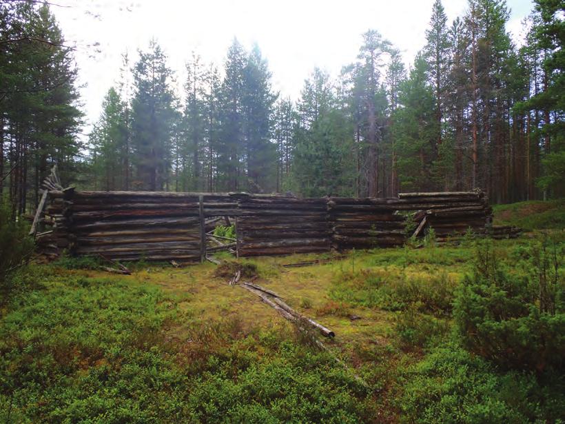 Ympäristön kuvaus Lavajärven metsätyökämppä talleineen ja muine mahdollisine rakennuksineen on sijainnut järven pohjoisrannalla, puolisen kilometriä Ai ojokisuulta länteen.