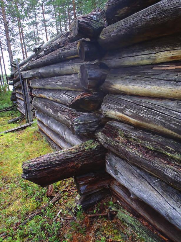 Vas. Lavajärven tallin