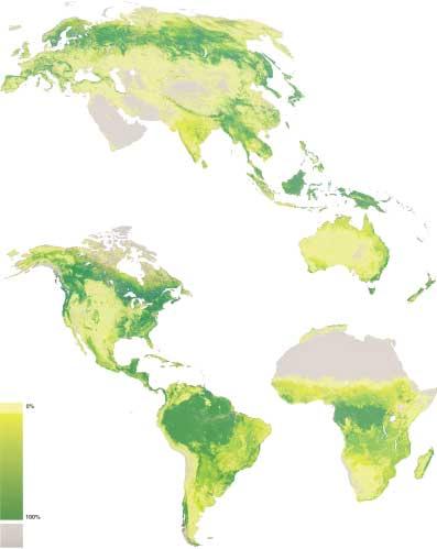 12 International forest statistics Non-vegetated = kasvipeitteetön alue Lähde Source:DeFries, Hansen, Townshend, Janetos &