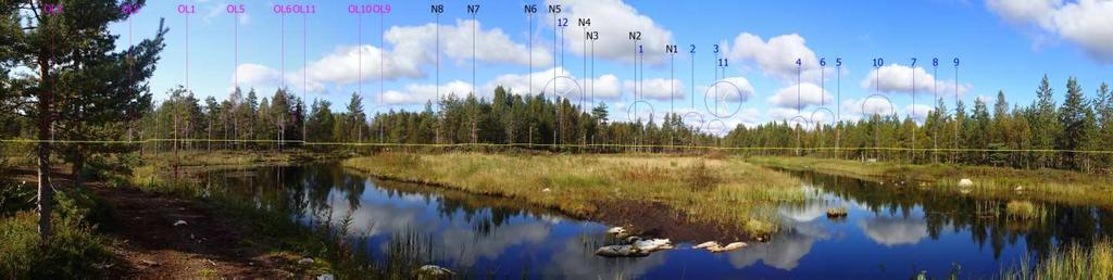 FCG SUUNNITTELU JA TEKNIIKKA OY Havainnekuvat ja ZVI 21 (29) 8. 8. Valokuvasovite 8. Näkymä Pihlajanojan varrella sijaitseva metsätalouden taukopaikka Alimmaisenjärvenkankaan läheisyydessä.