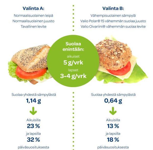 Valio Oy NIPISTÄ SUOLAN