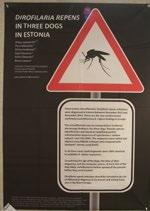 Viitanen Sanna Bronchiectasis in Irish wolfhounds with recurrent bacterial pneumonia 28. Lehtla Andźela Seroepidemiological study of Leptospira spp. in domestic cats in Estonia TUOTANTOELÄIMET 29.