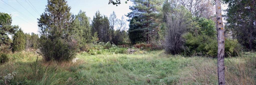 9 sijaitsee varsin lähellä suunniteltua tielinjausta ja että alueella on ennestään kartoittamattomia röykkiötä, joista yksi sijaitsee uuden tielinjauksen välittömässä läheisyydessä.