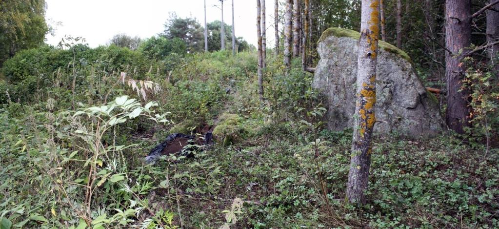 Röykkiön itäosassa on iso maakivi. Röykkiön kohdalla on metsittynyttä vanhaa peltoa ja sen pohjoispuolella on vanha pelto-oja. Vuoden 1912 tilauskartalla röykkiö sijoittuu pellolle.