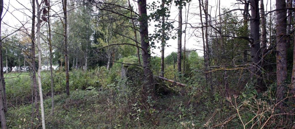 22 Kuva 33. Röykkiö 63, kuvattu etelästä. AKDG 4894:22 Röykkiö 135(V) - N 6806357 E 278001 Röykkiön havaitsi Vikkula vuonna 1982, jolloin hän antoi röykkiölle numeron 135.