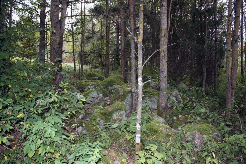 Röykkiö 2016-2 ja 135(V) välissä olevaa