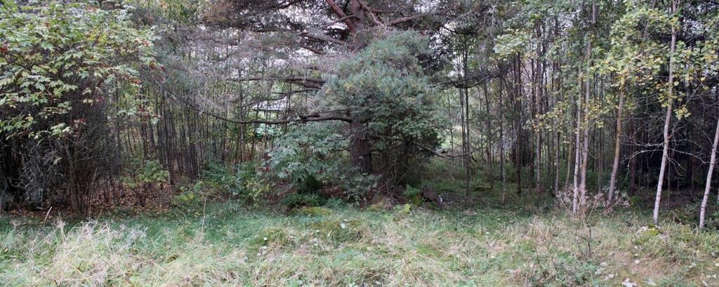 Röykkiötä ei ole aikaisemmin tutkittu eikä siitä tunneta irtolöytöjä.